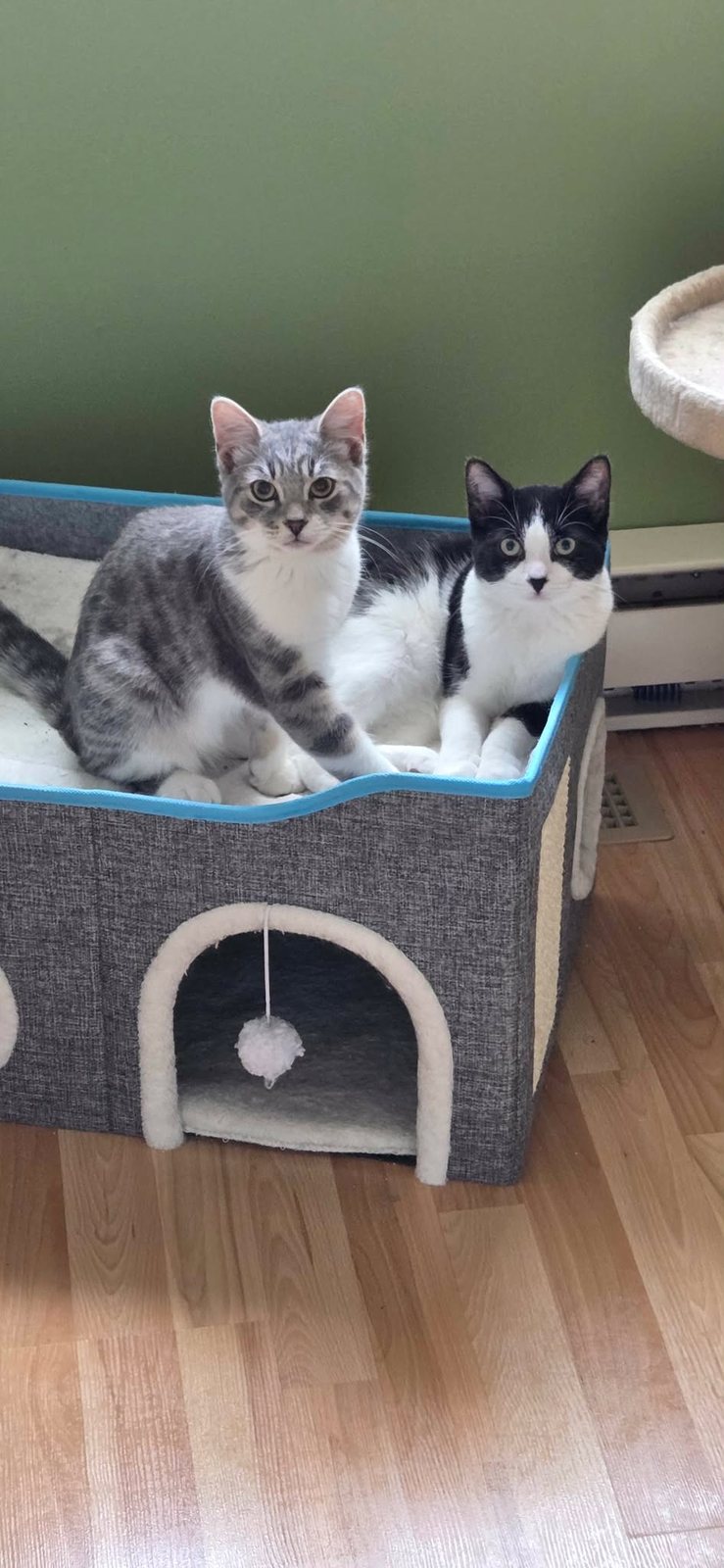 Patches (right) with Maverick