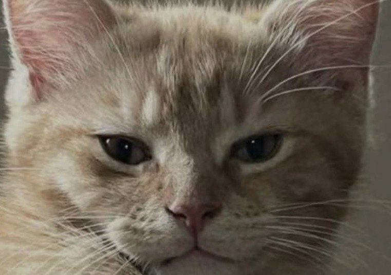 Oliver